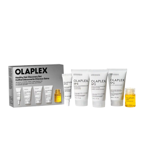 THE HEALTHY HAIR DISCOVERY SET